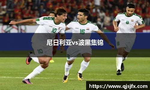 尼日利亚vs波黑集锦